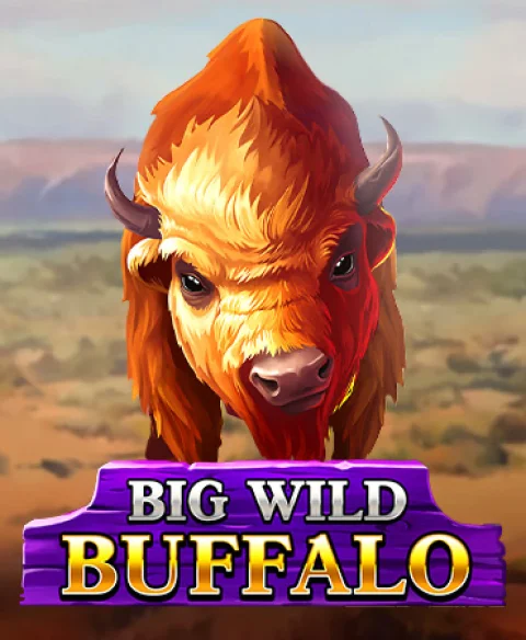 Seinn Big Wild Buffalo ag Royal Spin Hero Casino
